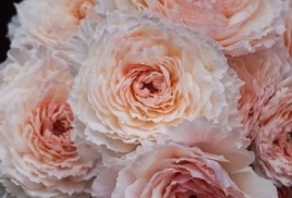 ОБ ОСТАТКАХ СЕЗОНА-2022