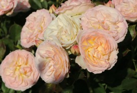 ОБ ОСТАТКАХ ПОСЛЕ МАССОВОЙ ВЫДАЧИ ЗАКАЗОВ-2023